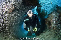 diver at tounge reef by Robin Jeffries 